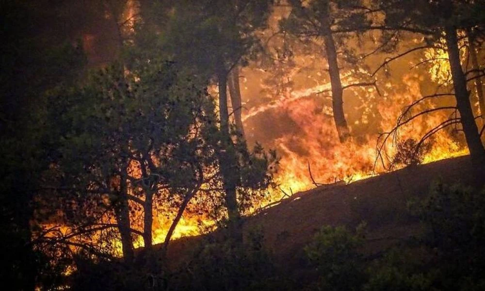 Μεγάλη φωτιά ξέσπασε στο Ρέθυμνο - Επί τόπου ισχυρές δυνάμεις της πυροσβεστικής